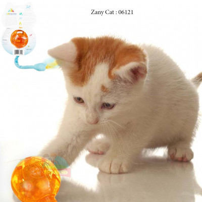 Zany Cat : 06121